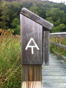 The typical AT symbol indicating the Appalachian Trail (or Andrew Tello). Personally I prefer the latter.